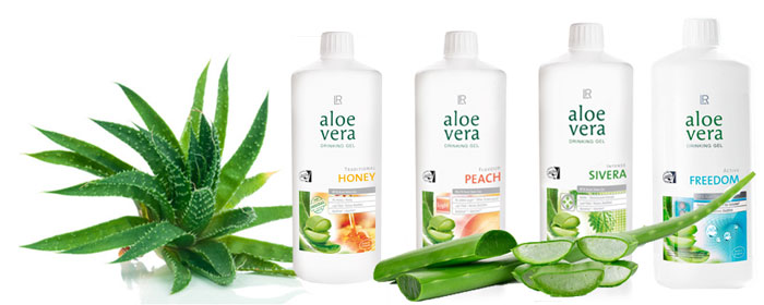 LR Aloe Vera Drinking Gel, Fachhandel für Beauty & Wellness, Birgit Weißenberger, Bad Soden